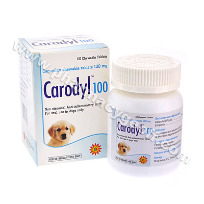 Carodyl (Carprofen) - 100mg (60 Chewable Tablets) 