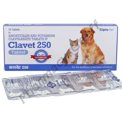 Clavet-250 (Amoxicillin/Clavulanate Potassium) - 200mg/50mg (10 Tablets)