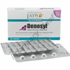Paw denosyl best sale